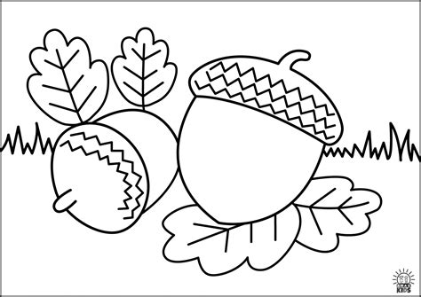 Printable autumn coloring pages for kids | Amax Kids