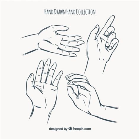Free Vector Hand Drawn Hand Collection