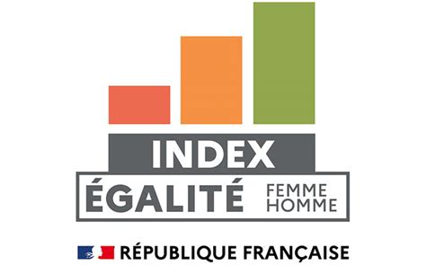Index De LÉgalité Professionnelle Entre Les Femmes Et Les Hommes Les