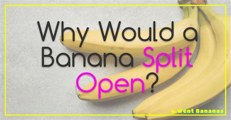 Why Would A Banana Split Open