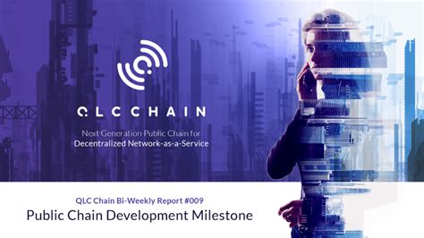 Qlc Chain Bi Weekly Report — 009 Partnership Public Chain