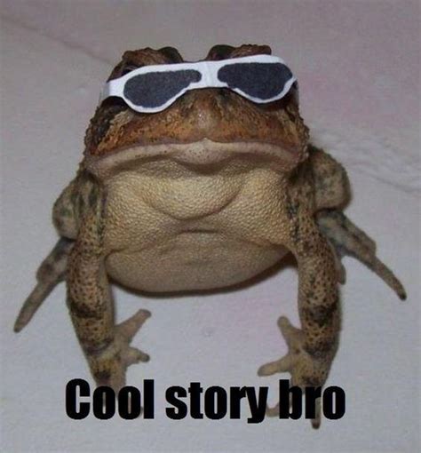 14 Uplifting Frog Memes For A Happiness Boost Cute Frogs Frog Frog Meme