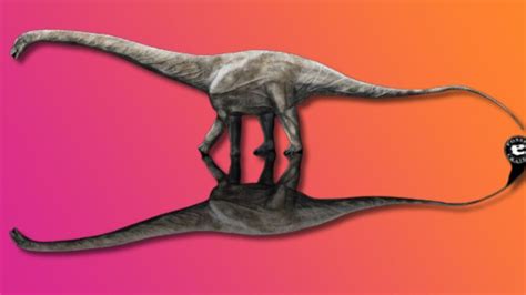 Supersaurus Scientists Discover Worlds ‘longest Ever Dinosaur Bbc