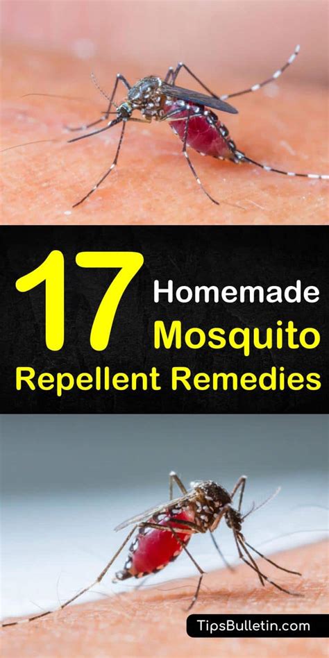 4 oz distilled water 4 oz witch hazel 20 drops of clove essential oil 10 drops of rosemary essential oil 15 drops for more recipes using essential oils (and mosquito bite remedies, courtesy of gardenista), see our posts: DIY Mosquito Control - 17 Homemade Mosquito Repellent Remedies