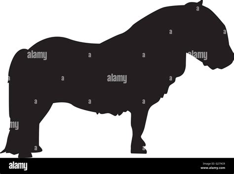 Shetland Pony Silhouette Stock Vector Image And Art Alamy