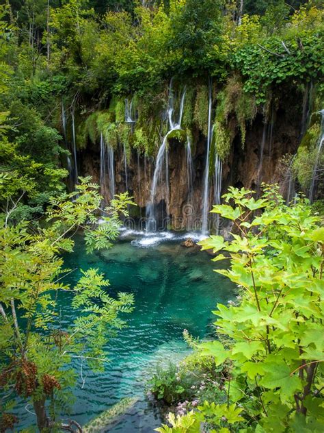 Beautiful Lakes And Forests Plitvice Lakes National Park Forest