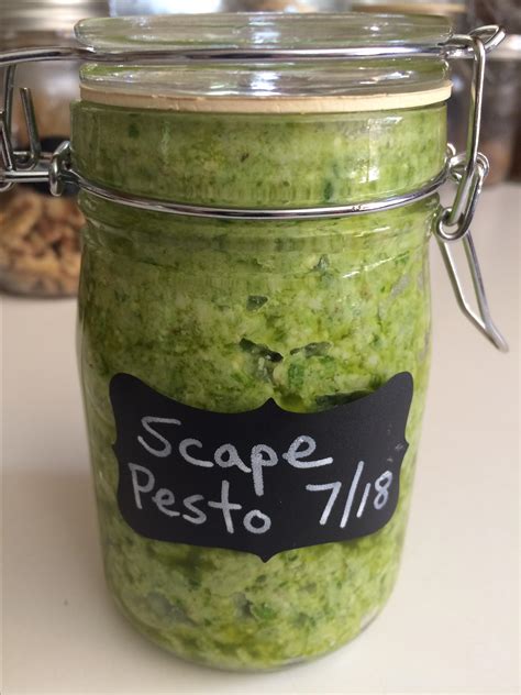 Rudys Garlic Scape Pesto Recipe Allrecipes