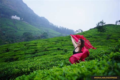 The 16 Best Places To Visit In Munnar This Year Hikerwolf