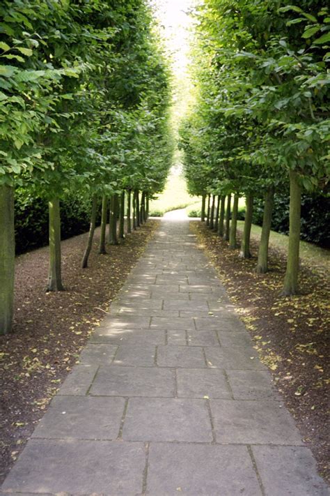 Beautiful Tree Lined Path In The Queens Garden Kew Gardens London