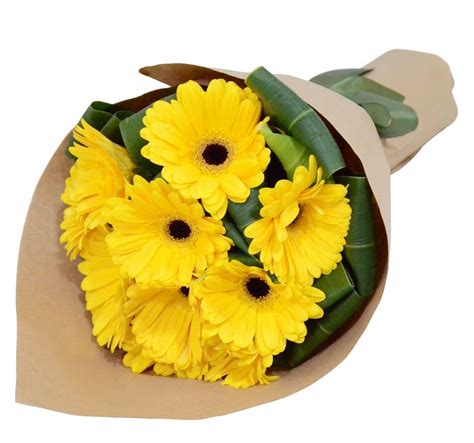 Yellow Gerbera Bouquet Florista Delivery