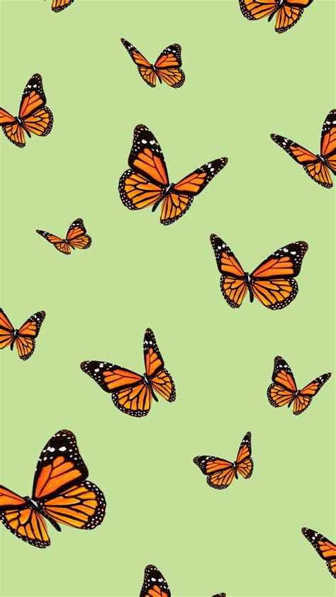 Download Aesthetic Wallpapers Yellow Butterfly Background