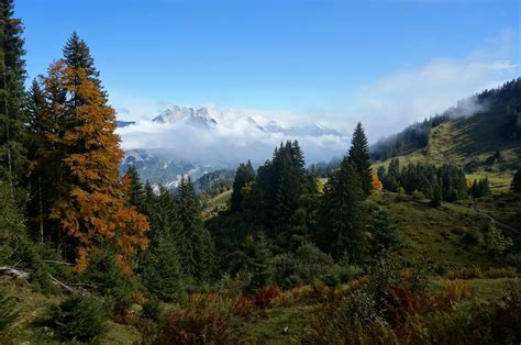 Misty Autumn Morning In The Alps Above Filzbach Switzerland Hd Wallpaper