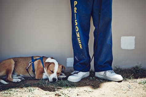 Inside The California Prison Where Inmates Train Rescue Dogs Time