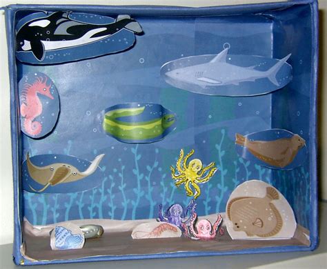 Ocean Ecosystem Diorama Submited Images Pic 2 Fly Science Biology