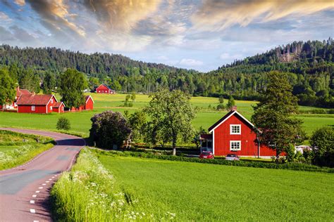 fotos gratis ajardinado países nórdicos antiguo paisajes smaland suecia cabaña camino