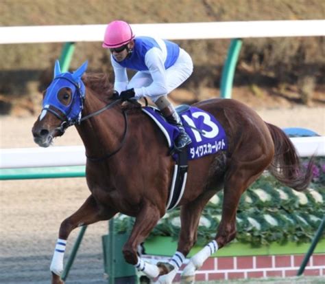 デフォルトにリセット をクリックすると、一連の各設定をデフォルトに戻すことができます。 1x1 の広告申込情報のターゲットに、ステップ 1 で作成した広告ユニットを設定します。 JRA所属、歴代最強牝馬を勝手にランキング。 - Re:投資競馬 これ ...