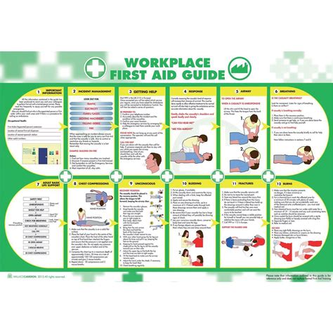 Wallace Cameron Workplace First Aid Guide Poster Laminated Wall
