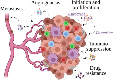 Frontiers Tumor Induced Inflammatory Cytokines And The Emerging