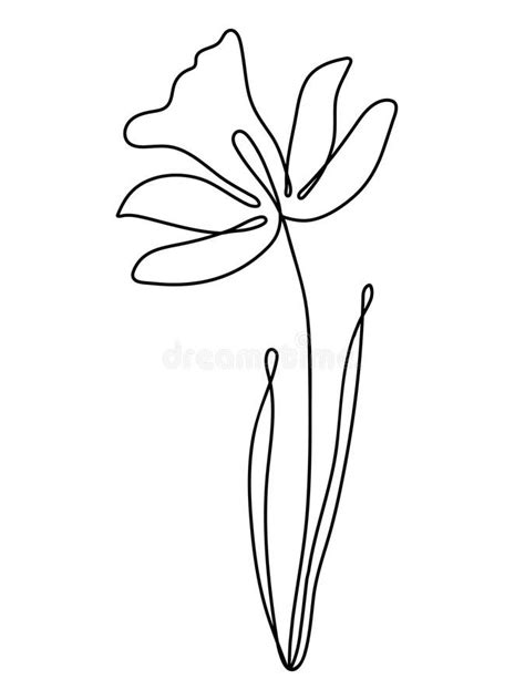 Continuous Line Art Flower Stock Illustrations 4400 Continuous Line