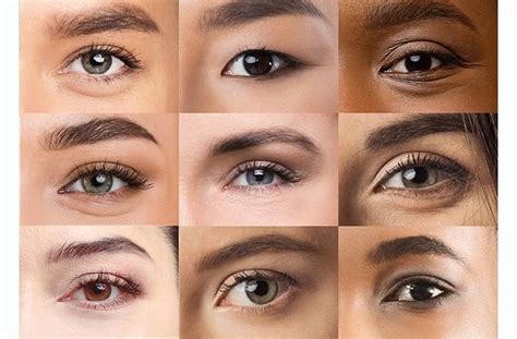 The Eye Color Chart