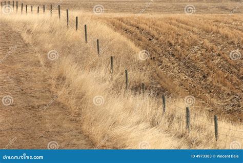 Prairie Wind Stock Image Image Of Outside Field Landscape 4973383