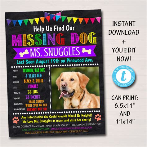 Editable Missing Dog Flyer And Poster Template Printable Lost Etsy Uk