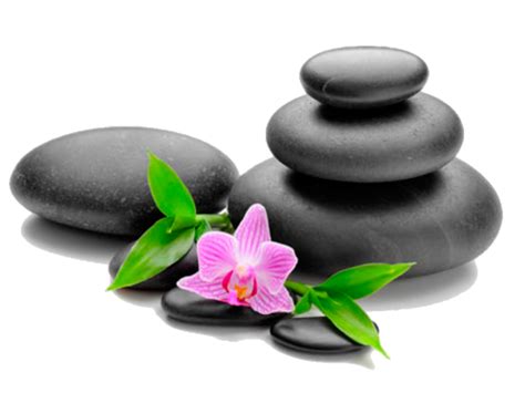 spa rocks and flower png