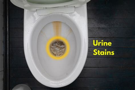 how to clean urine stains on toilet bowl without damaging the toilet