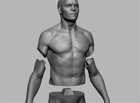 Artstation Male Anatomy Figure Resources