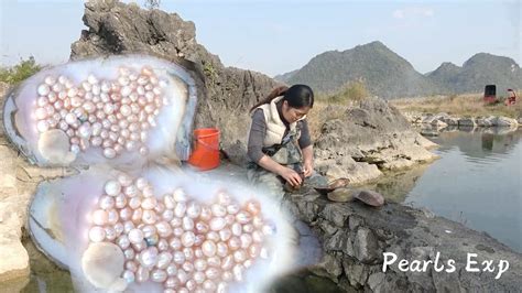 What A Surprise That Such Beautiful Pearls Grow From Pearl Oysters