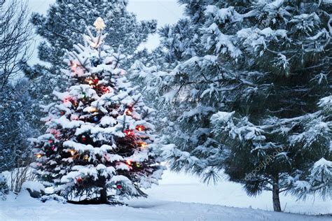 Brightly Lit Snow Covered Christmas Tree In Snowstorm Stock Photo By