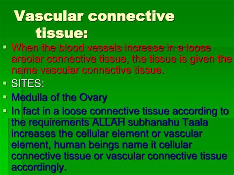 Ppt Connective Tissue Powerpoint Presentation Free Download Id1033067