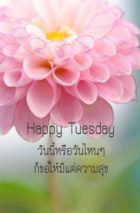 Pin by Ramchai Chuenbumrung on สวสดวนองคาร Good morning greetings Morning greeting Good