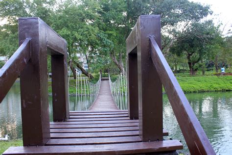 Hanging Bridge Free Stock Photo Public Domain Pictures