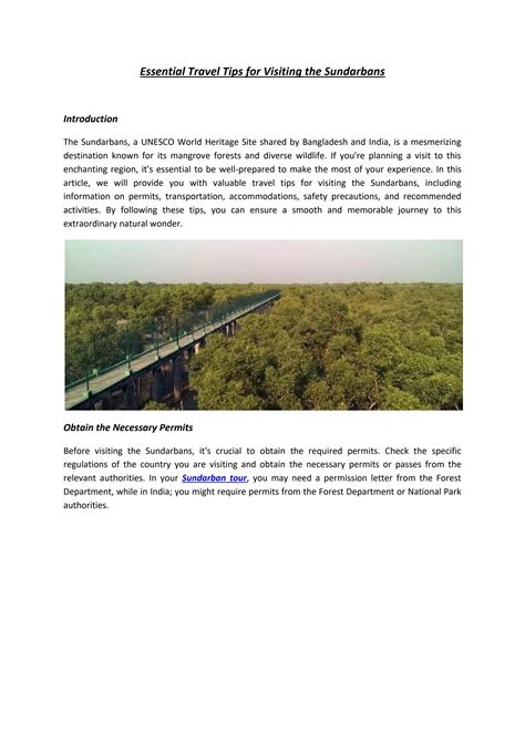 Travel Tips To Visit Sundarban By Tourist Hub India Issuu