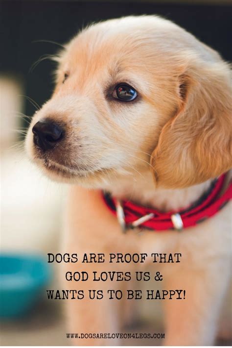 Dog Quote Dogs Are Proof That God Loves Us And Wants Us To Be Happy
