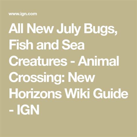 All New July Bugs Fish And Sea Creatures Animal Crossing New