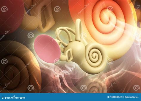 3d Rendered Inner Ear Cochlea On Color Background Stock Illustration