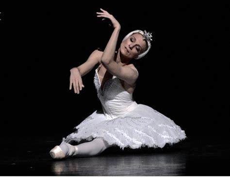 ballerina zenaida yanowsky on performing the dying swan beautiful ballet dance magazine