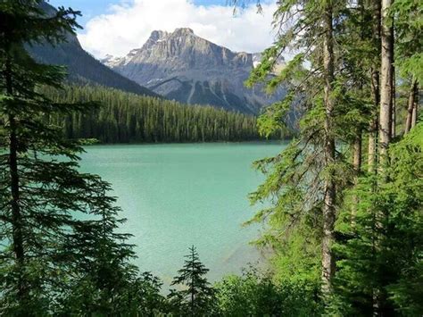 Emerald Lake Alberta Canada Emerald Lake Emerald Lake Canada