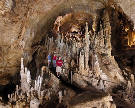 Fun Facts About Natural Bridge Caverns