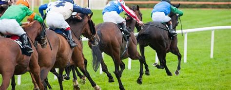 Sea The Sun Leads Betbrights Quest For Tipster Challenge Glory Sea The Sun Leads Betbrights