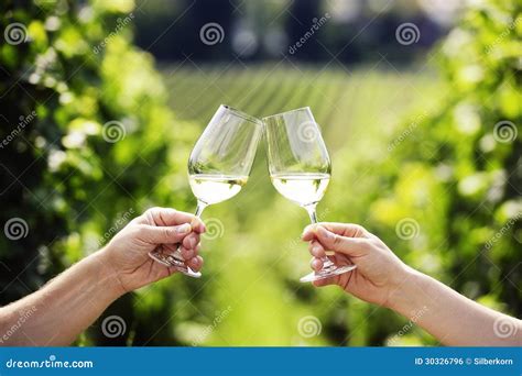 Toasting Two Glasses White Wine Stock Photos 601 Images