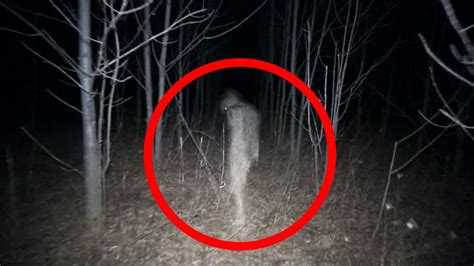 5 Scary Things Caught On Camera In The Woods Youtube