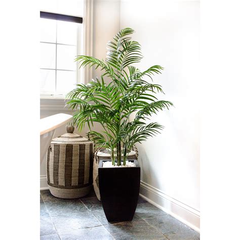 45ft Uv Resistant Areca Palm Tree With Black Wash Planter Michaels