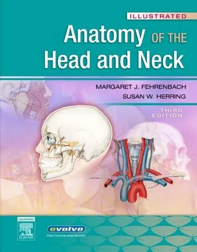 Illustrated Anatomy Of The Head And Neck By Herring Susan W Paperback