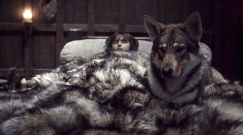 140 Game Of Thrones Dog Names The Paws