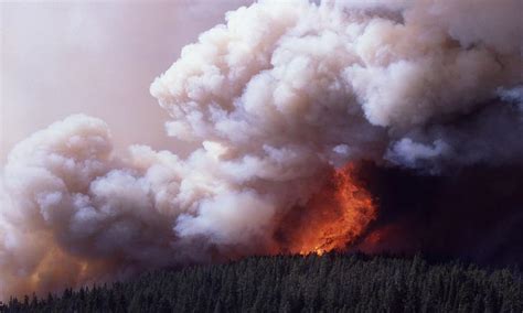 Wildfire Closes Yellowstone National Park South Gate Employees