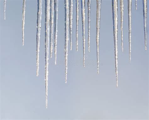 Hanging Icicles Stock Image Image Of Seasons Snow Winter 12745427