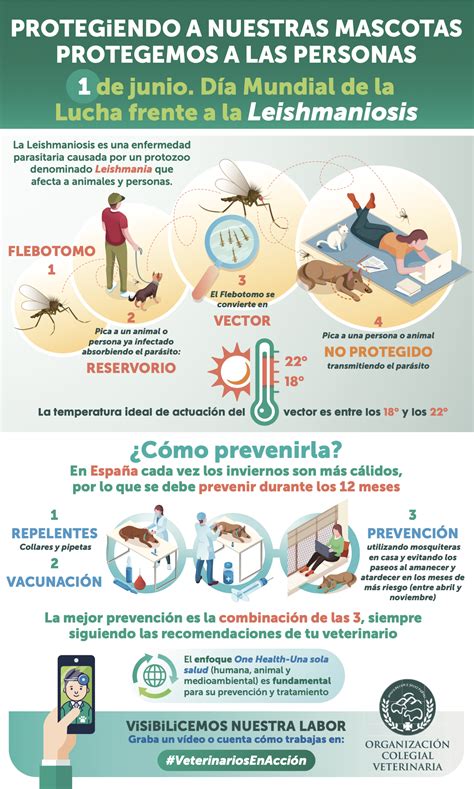 El Enfoque One Health Una Sola Salud Es Imprescindible En La Prevenci N Y Tratamiento De La